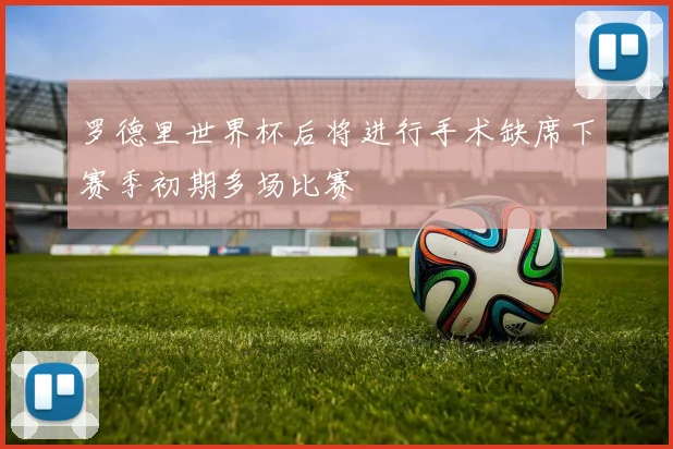 罗德里世界杯后将进行手术缺席下赛季初期多场比赛